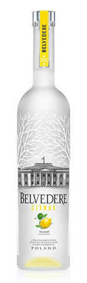 Picture of Belvedere Citrus Vodka 750ML